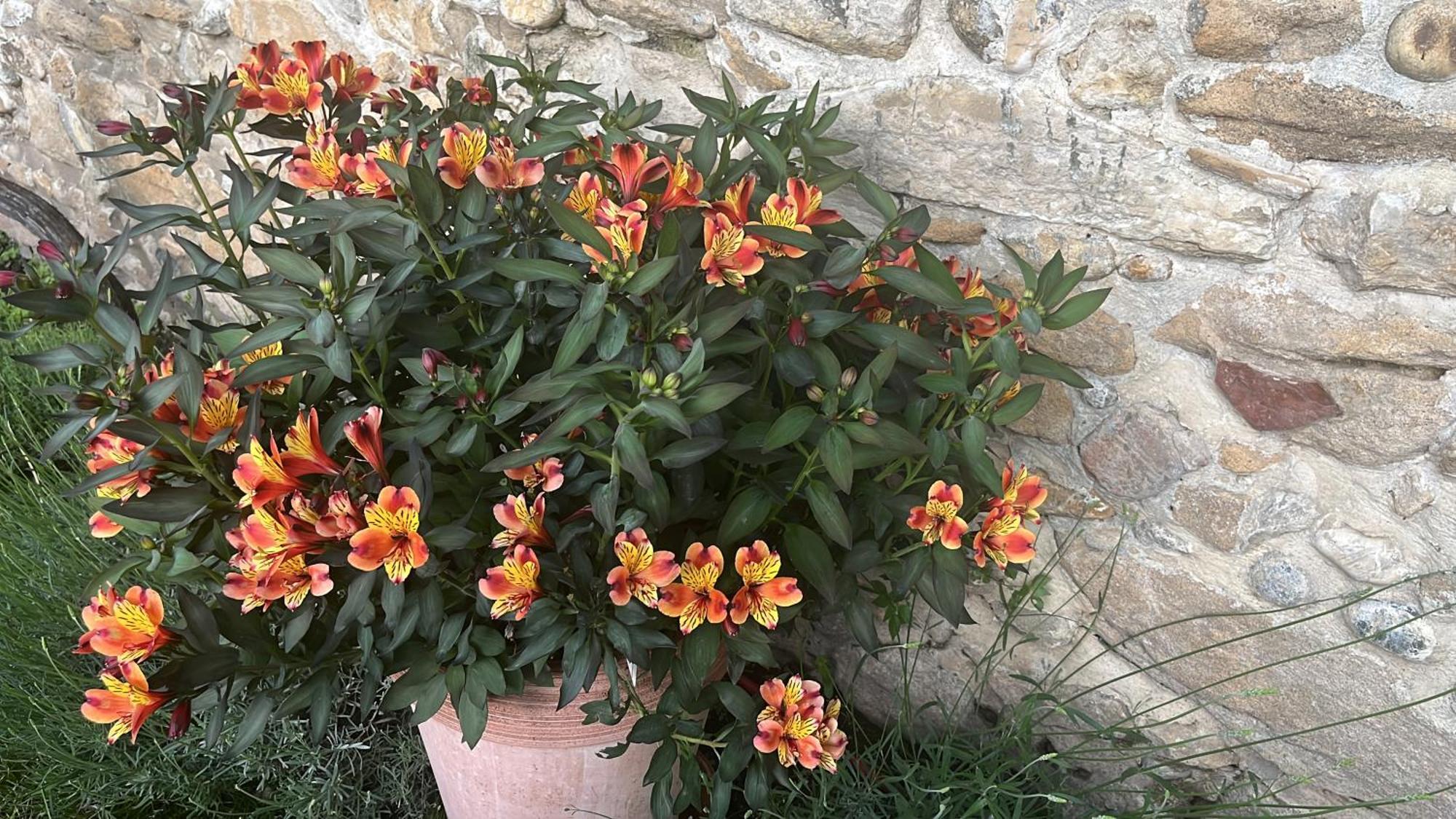 Maison En Provence Lapalud エクステリア 写真