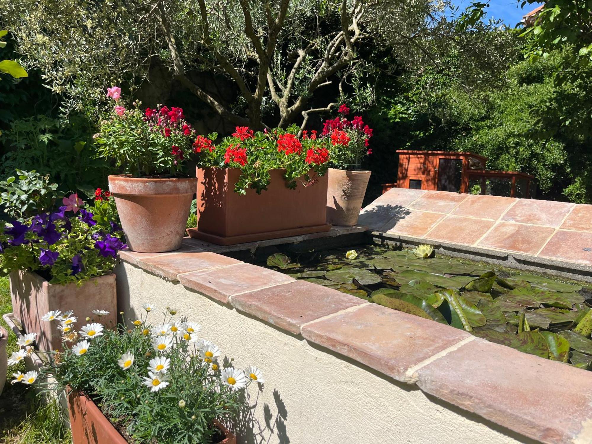 Maison En Provence Lapalud エクステリア 写真